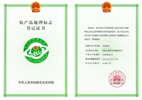 泾阳茯茶地理标志登记证书